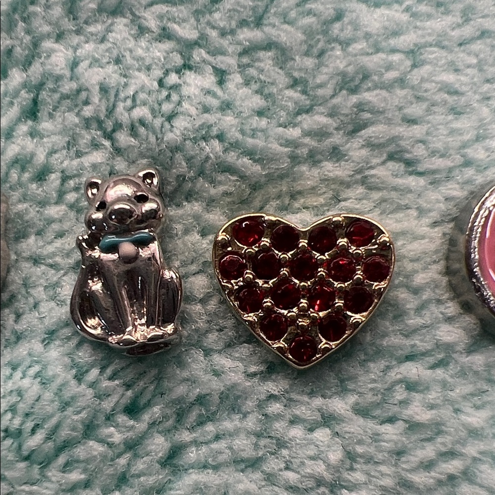 Floating Locket Charms - Picture 3 of 4